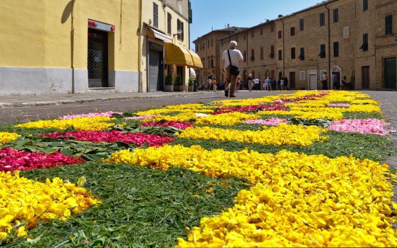 Cupramontana: Infiorata - Fronleichnam