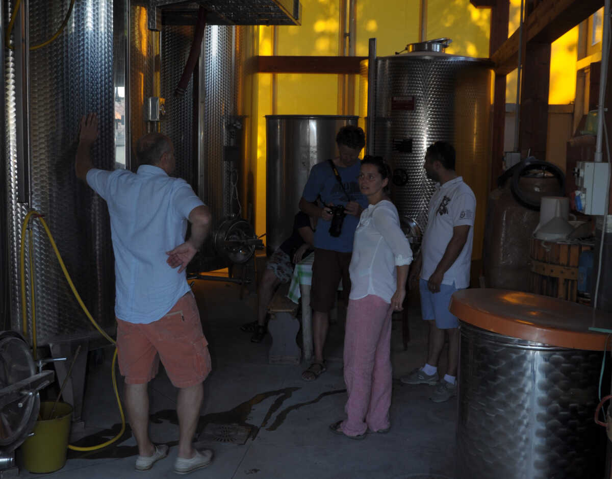 Cupramontana; Besuchen Sie das Weingut Cherubini