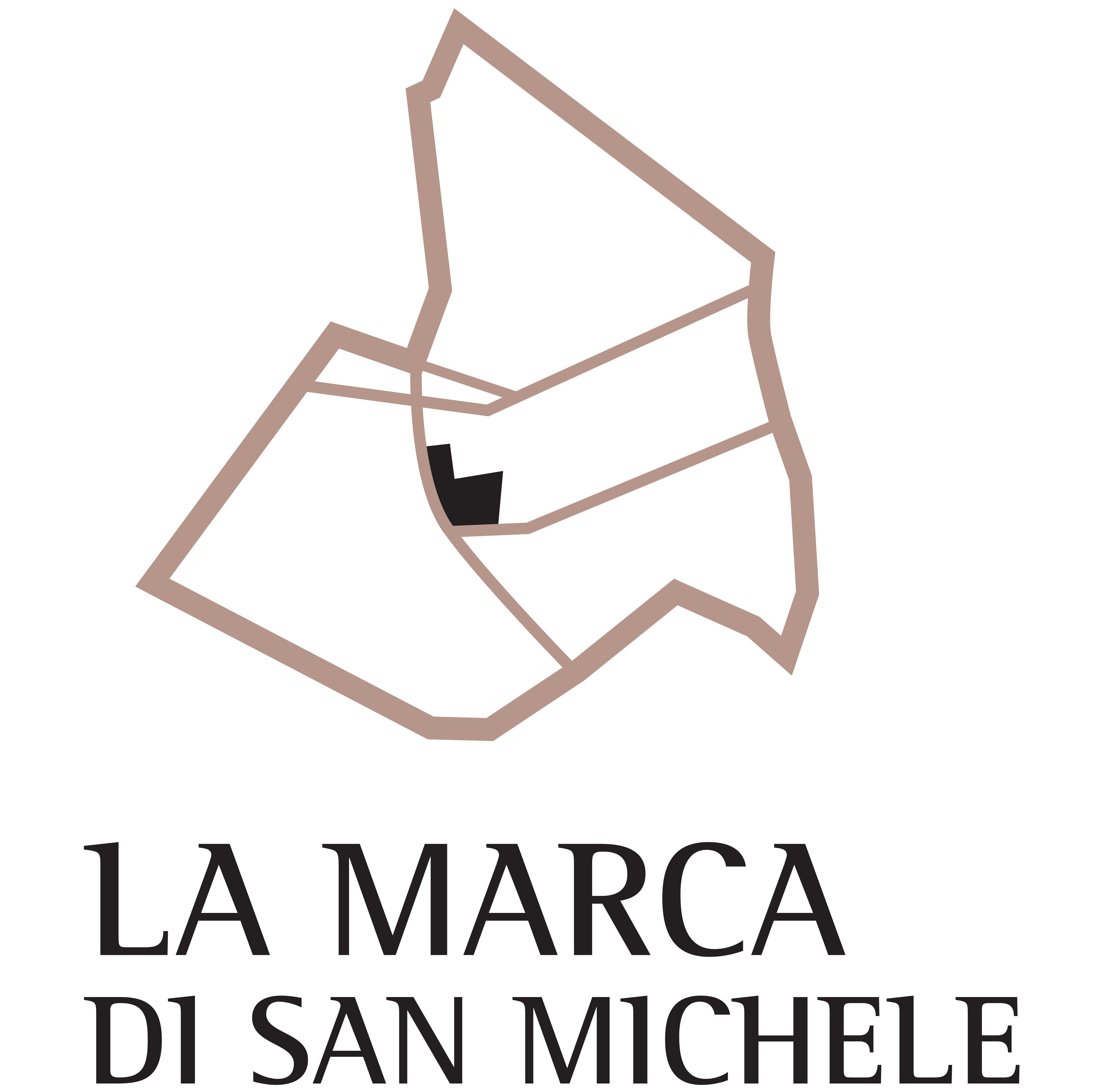 Cupramontana; Besuchen Sie das Weingut  La Marca di San Michele