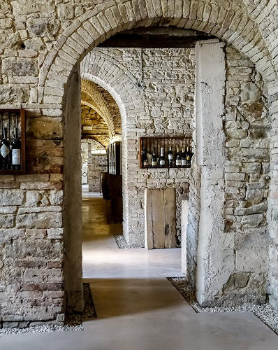 Esperienze / Attività